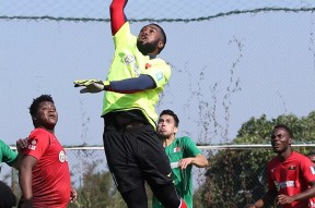 华体会-卫冕冠军展开强势攻势！