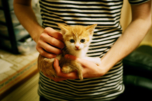 华体会hth-当基耶萨在世界排名的加时赛接管比赛,世界看到了足球的另一种可能 第1张 华体会hth-当基耶萨在世界排名的加时赛接管比赛,世界看到了足球的另一种可能 第1张