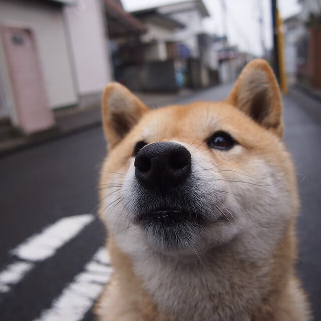 华体会hth-黄潜战术教科书，防守锁死突尼斯 孔德完美掌控节奏  第1张